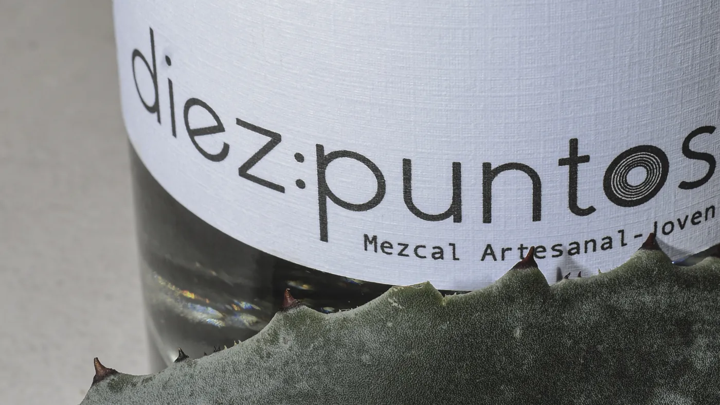 Detalle macro de la etiqueta Diez Puntos junto a una penca de agave